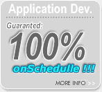 Development Application